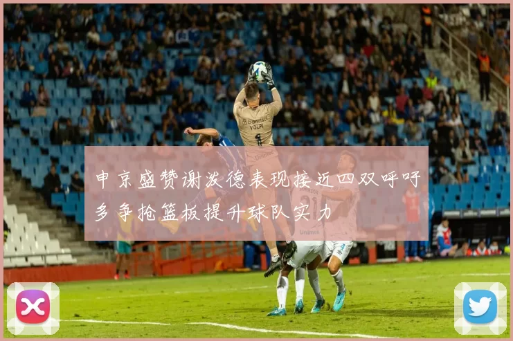 申京盛赞谢泼德表现接近四双呼吁多争抢篮板提升球队实力