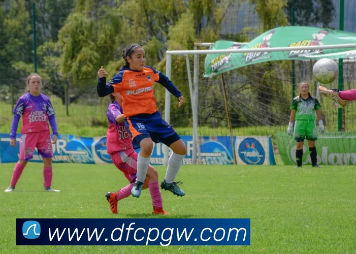 大发彩票官网平台生态图