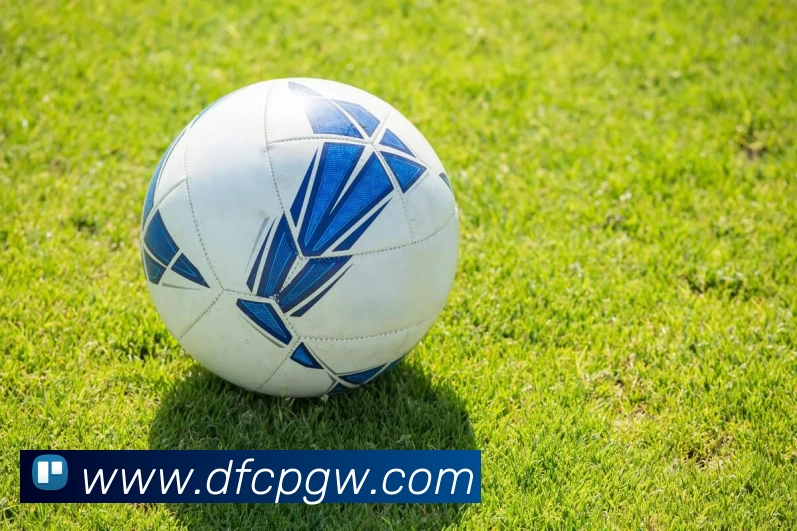 大发彩票官网APP 封面图